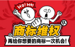 商標(biāo)無效宣告申請(qǐng)的相關(guān)規(guī)定