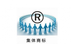 如何查詢公司的商標(biāo)注冊(cè)